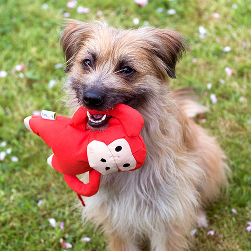 BecoPet Hundespielzeug aus Recyclingmaterial - Michelle the Monkey