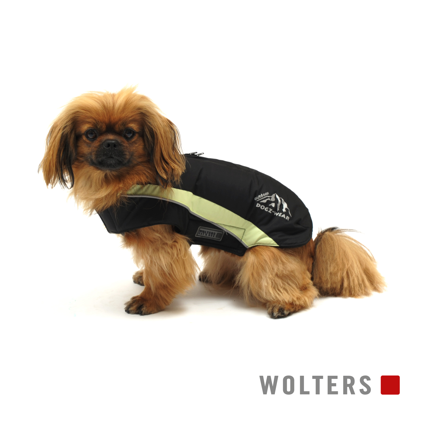 Wolters Skijacke Dogz Wear mit wasserdichtem Reißverschluss - schwarz/lime