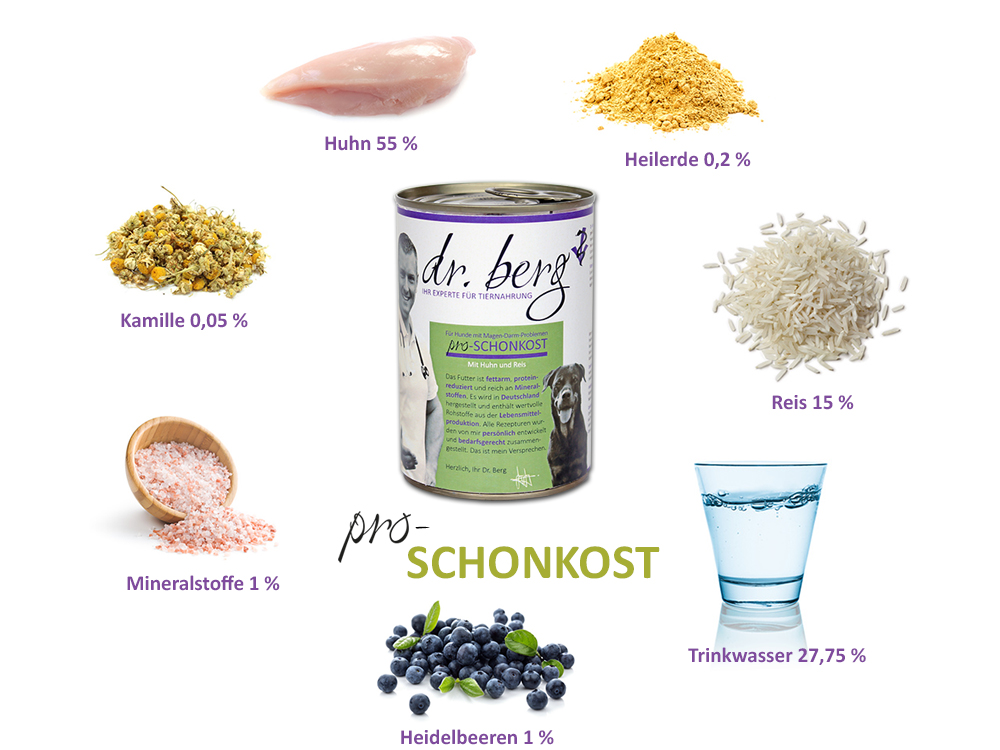 Dr. Berg pro-SCHONKOST - Huhn und Reis