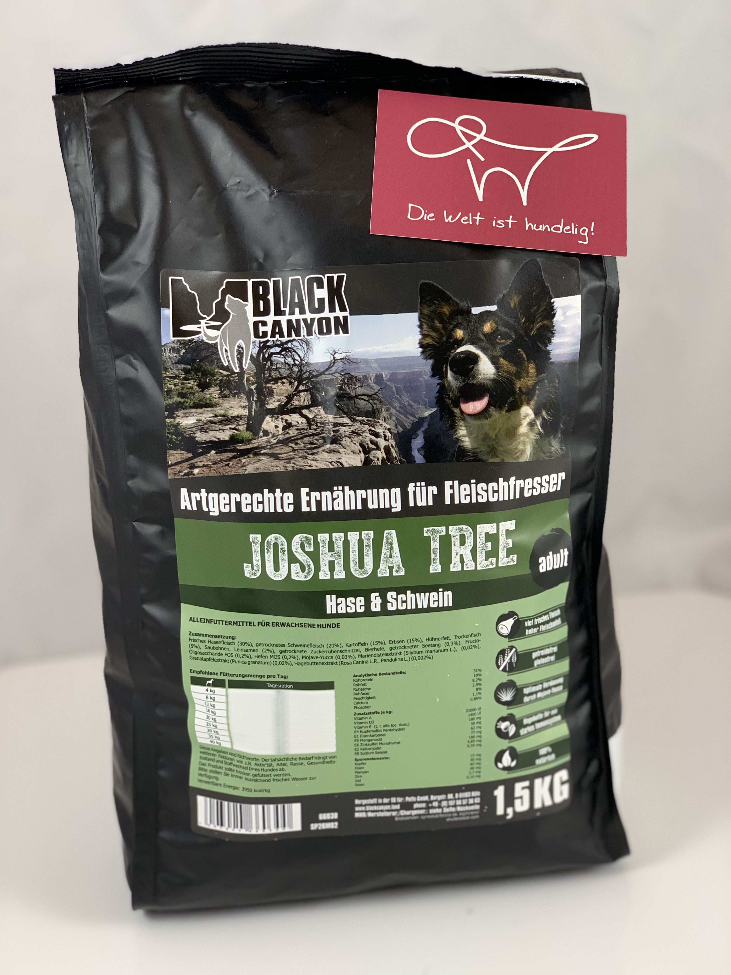Black Canyon Joshua Tree - Hase und Schwein